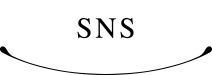 SNS